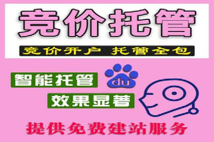 某企业携手SEM托管公司：实现流量转化最大化